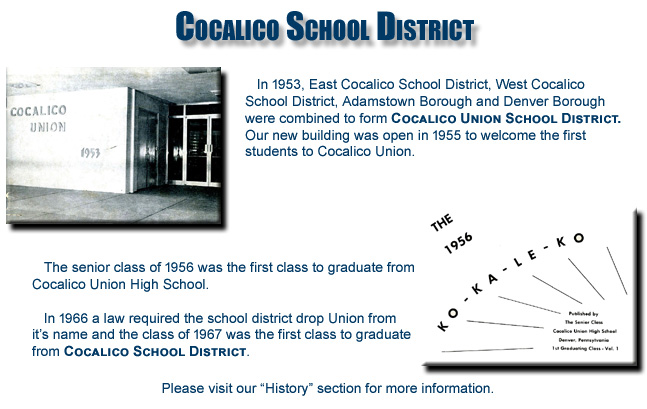 Home Page History